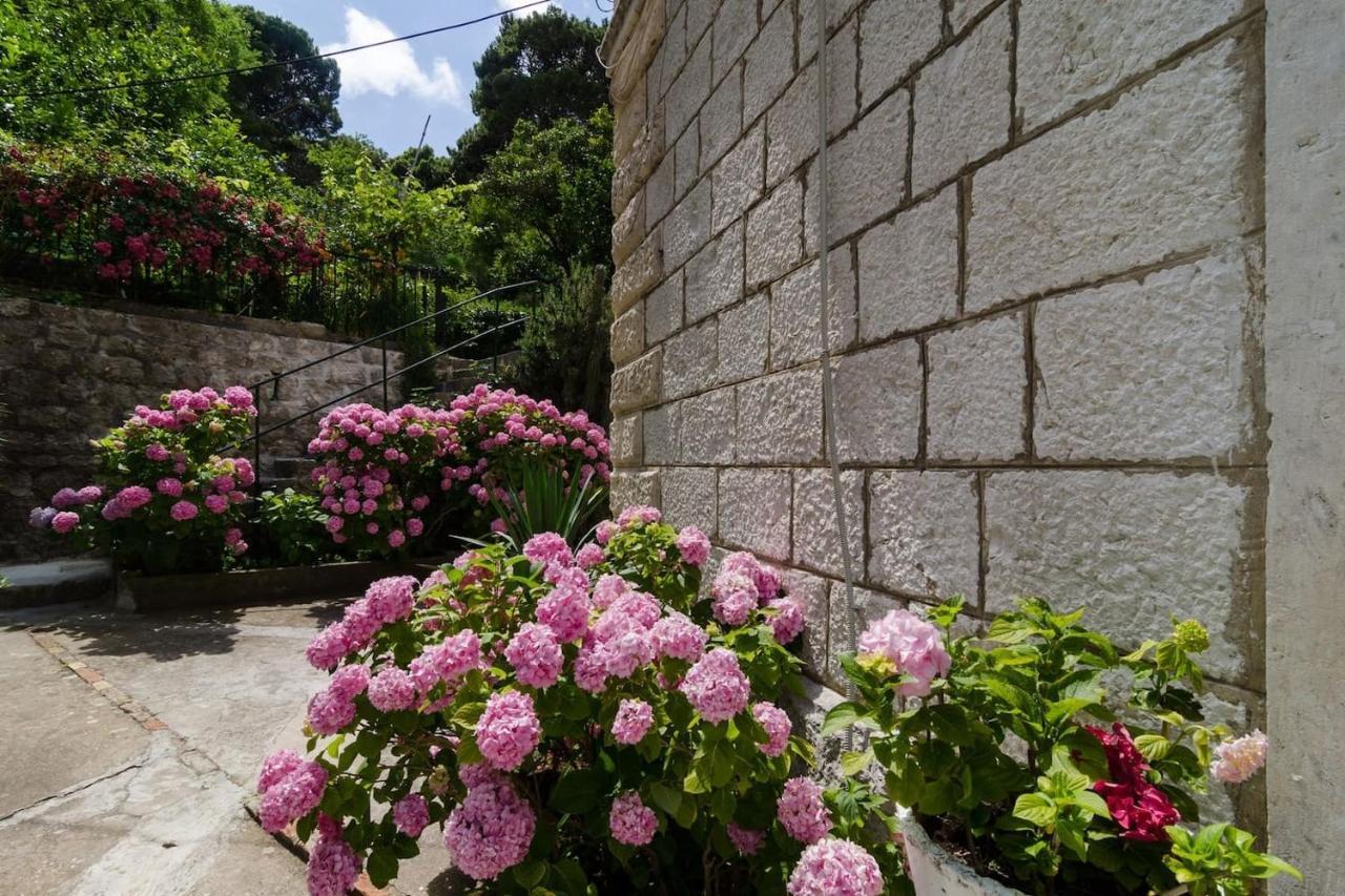 Apartment Djivo Dubrovnik Exterior photo